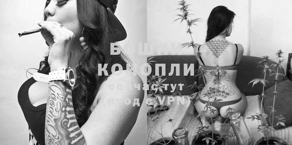гашик Киреевск
