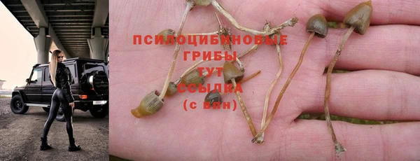 a pvp Киренск