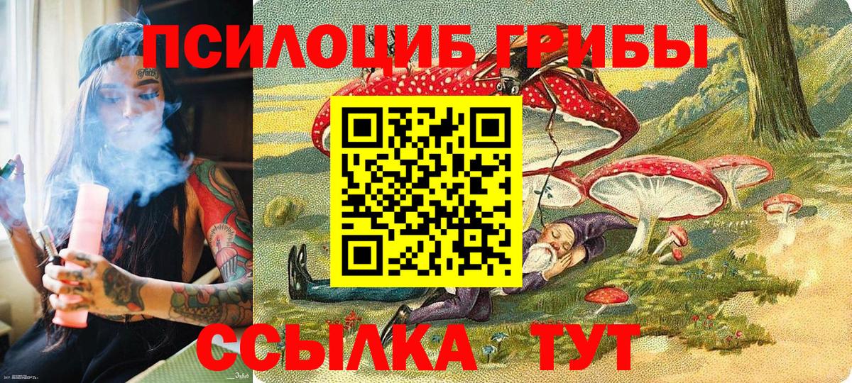 Псилоцибиновые грибы мухоморы Мурманск