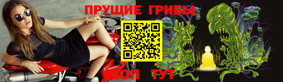 Галлюциногенные грибы ЛСД  Вход с VPN  Мурманск  Галлюциногенные грибы Psilocybine cubensis 