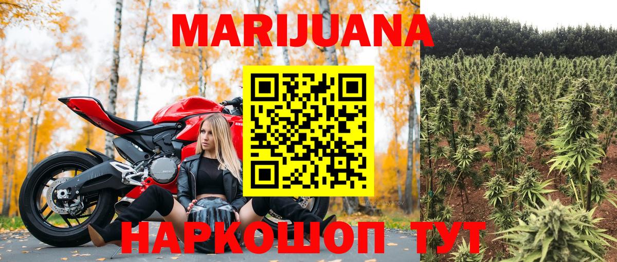 МАРИХУАНА семена Мурманск
